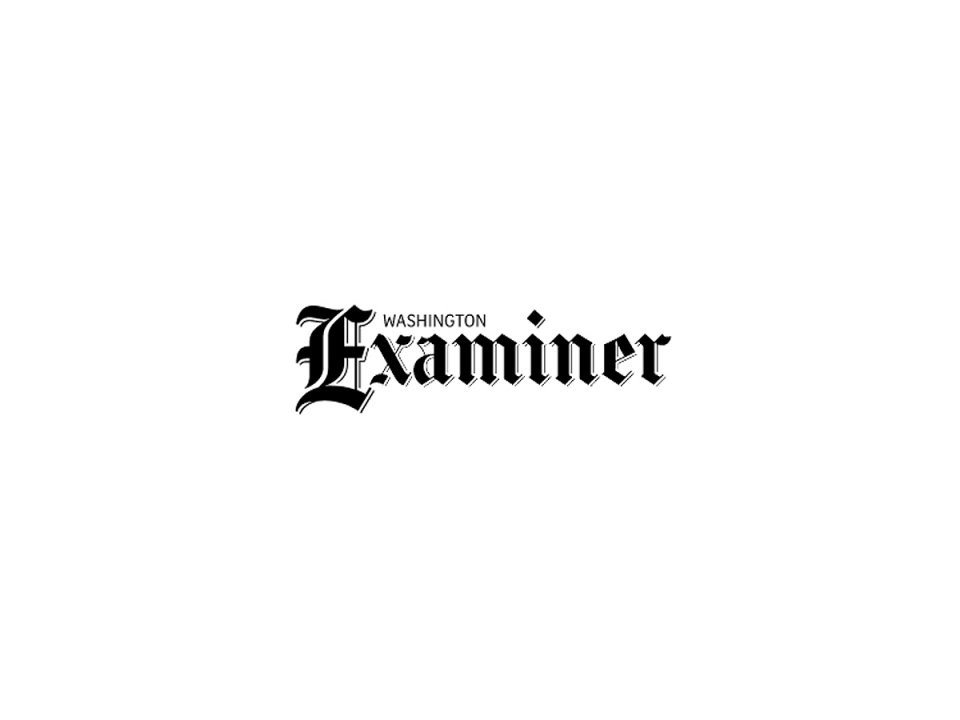 steve levy Featured Image post examiner